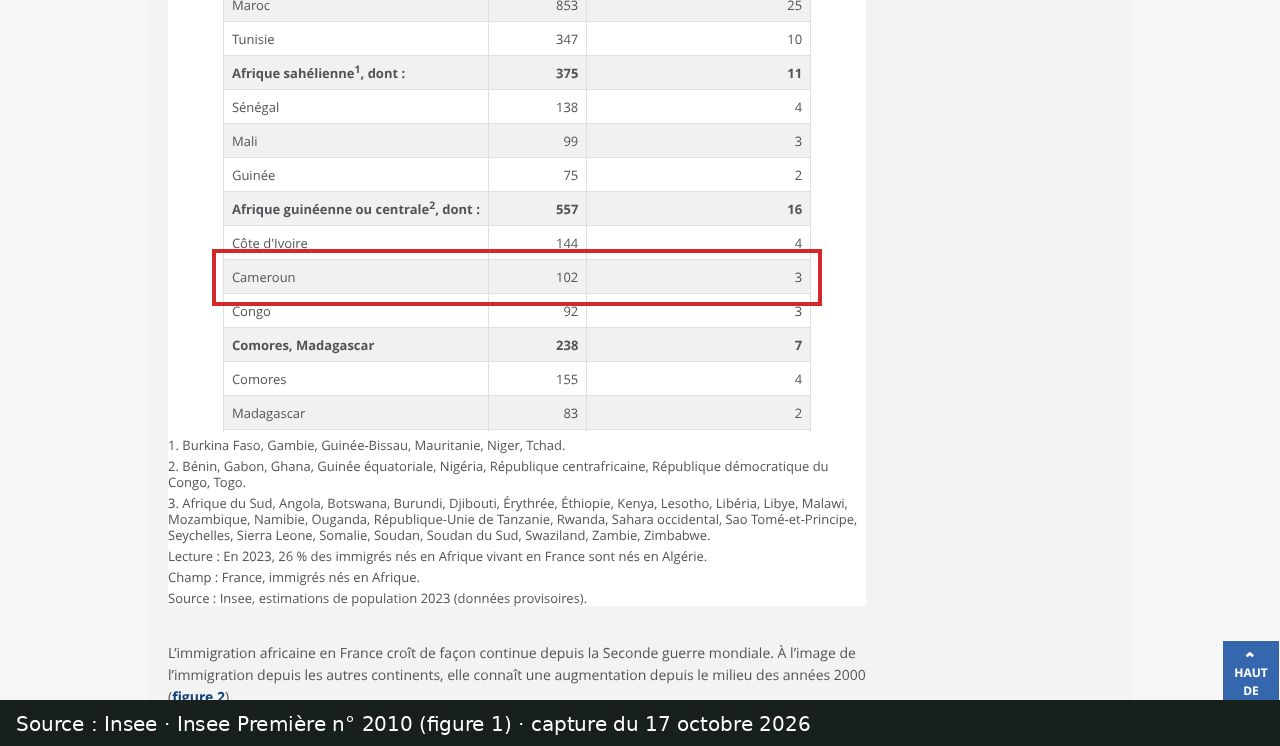 Capture d’écran de la figure 1 de l’Insee Première n° 2010 : passage encadré « Cameroun 102 3 »