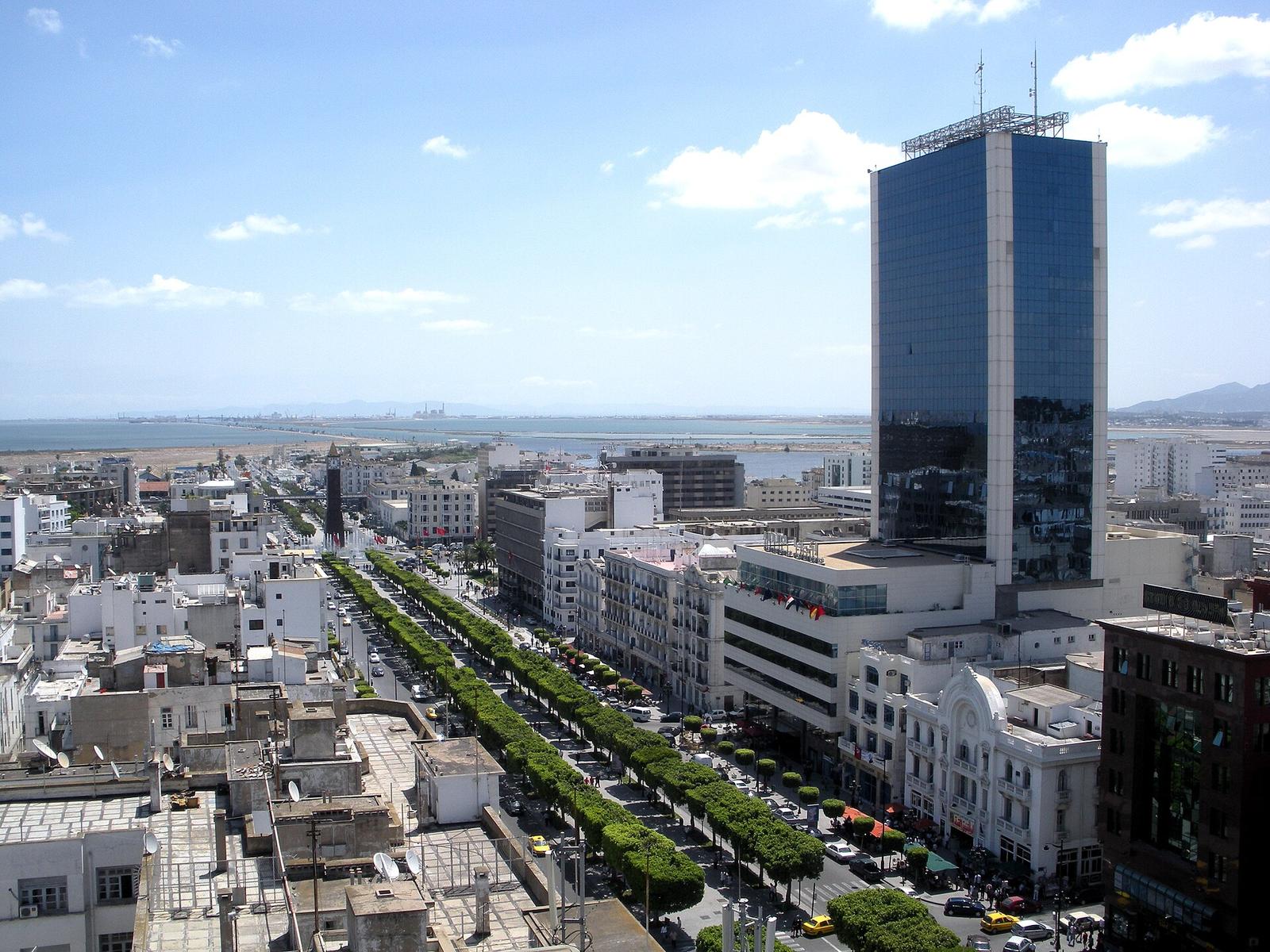 Vue plongeante sur l'avenue Habib Bourguiba à Tunis, bordée d'arbres, avec une tour vitrée au premier plan