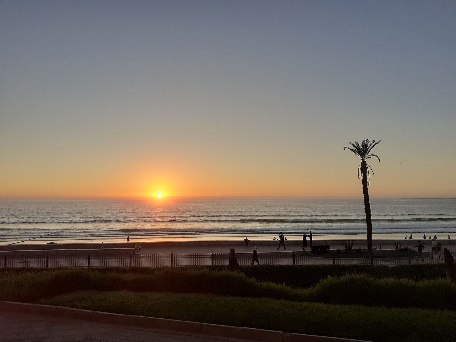 Coucher de soleil sur la plage d'Agadir, avec un palmier et la promenade du front de mer au premier plan