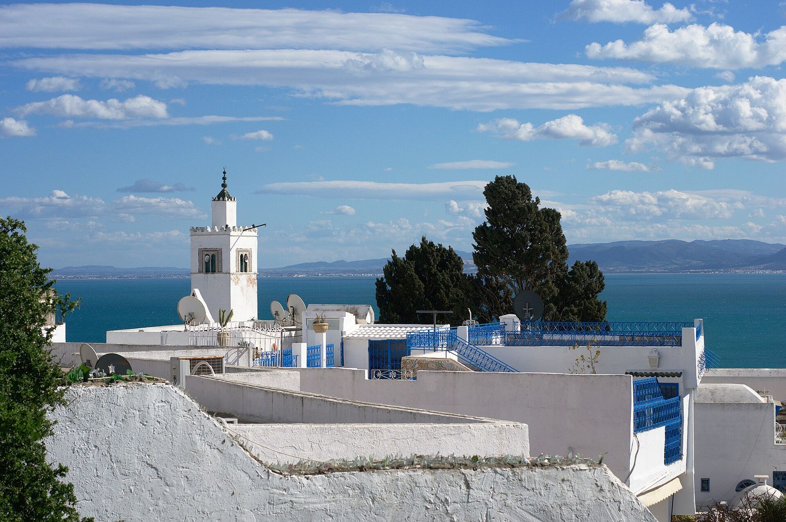 Maisons blanches aux volets bleus de Sidi Bou Saïd, avec le minaret et le golfe de Tunis en arrière-plan